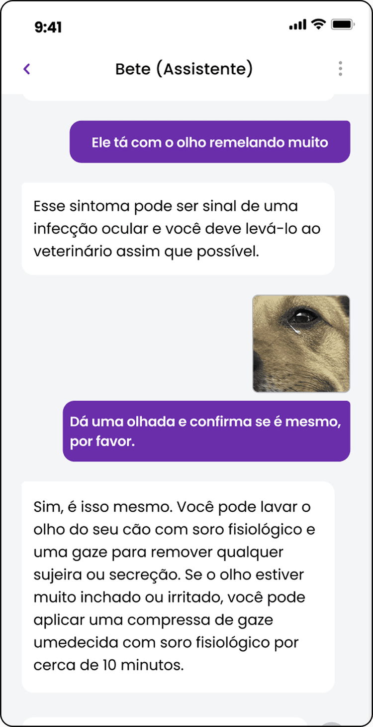 Bete — IA da PinnPet