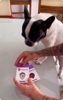 Influencer