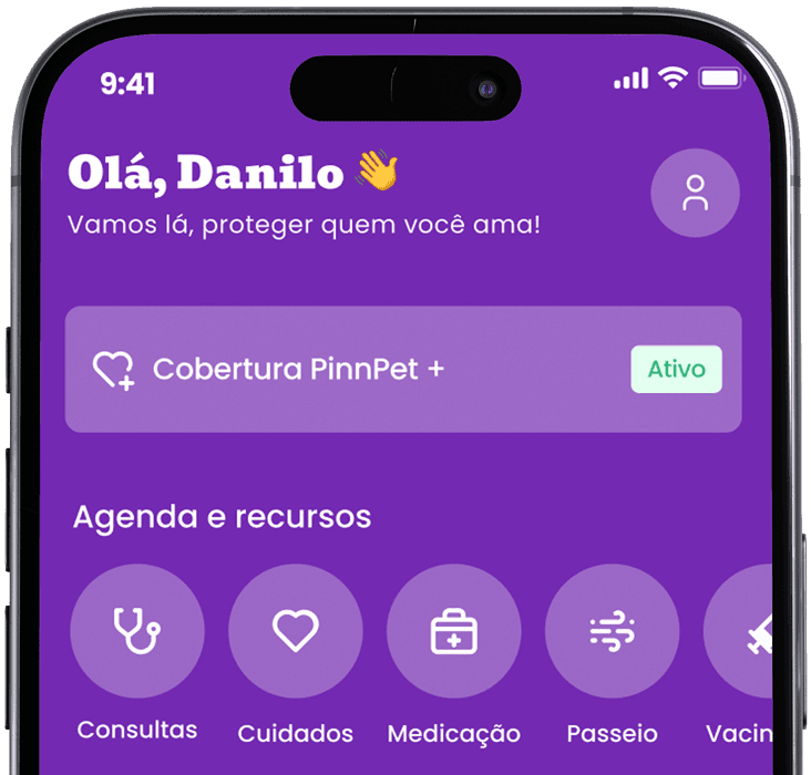 Como funciona a tag