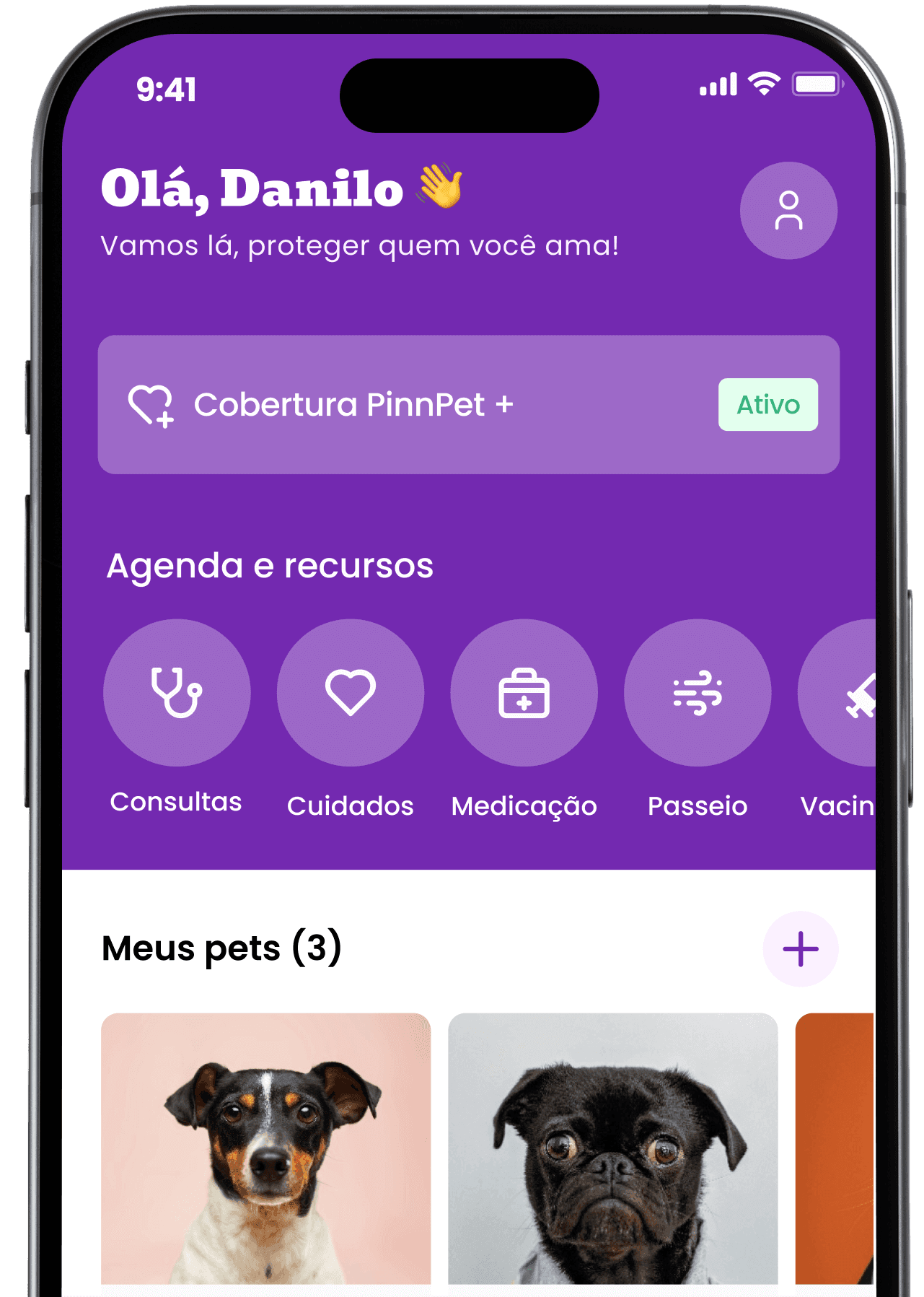 App PinnPet — perfil público do pet acessado pelo QR Code